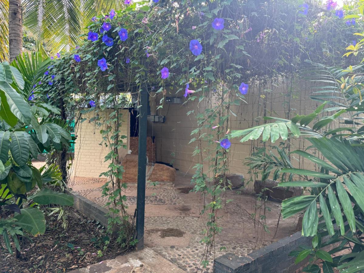 Chikoo Farm Inn Bangalore Ngoại thất bức ảnh